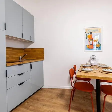 Apartment Tres Chic Petite France Strasbourg